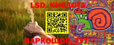 трава Новозыбков