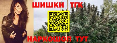 соль ск Новокубанск