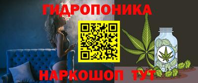 соль ск Новокубанск