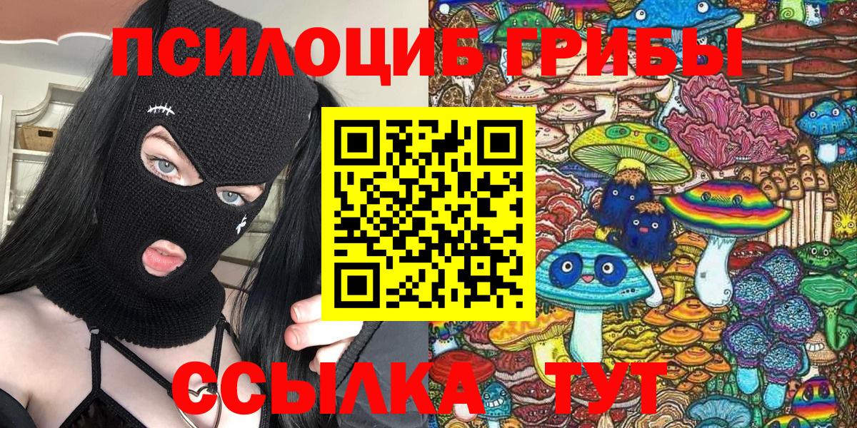 Псилоцибиновые грибы Cubensis Сосновоборск